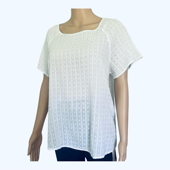 SHEIN White Textured Blouse Medium square neckline short sleeves 100% cotton - Picture 4 of 12